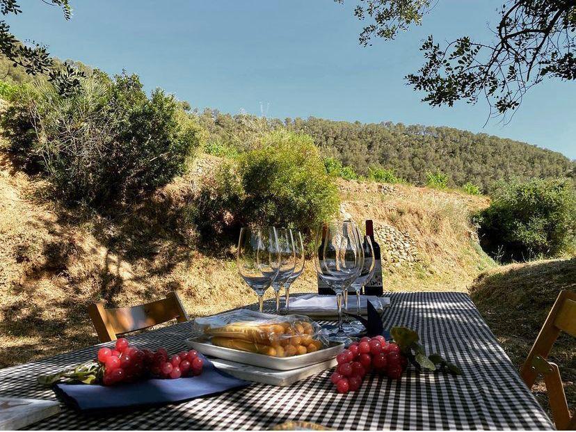 Celler Puig Batet