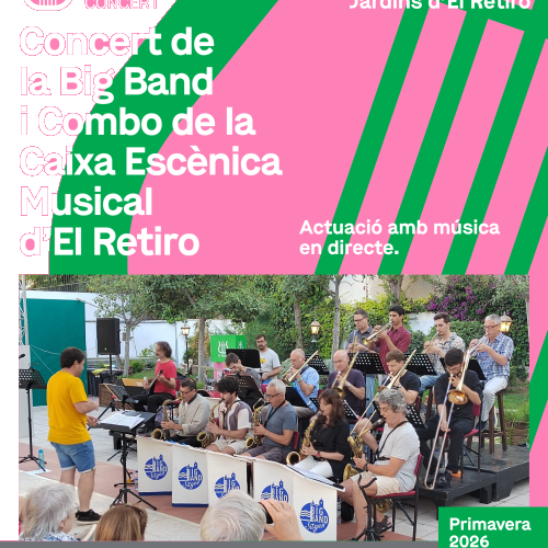 Concert Bigband i Combo