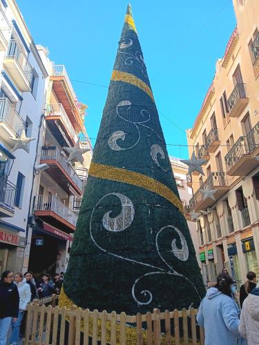 foto arbre