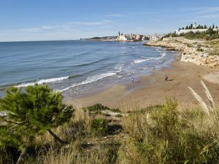 Strand Platja Balmins