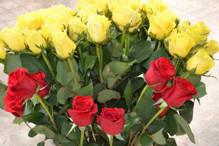 Sant Jordi 3