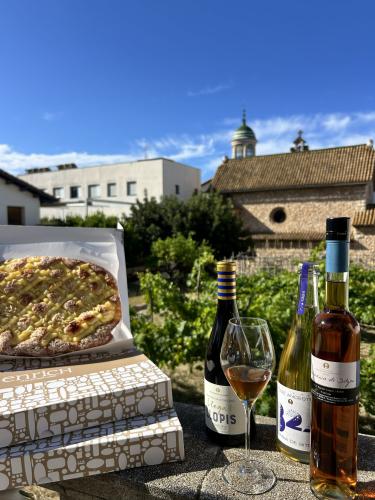 Tast-Malvasia-StJoan26